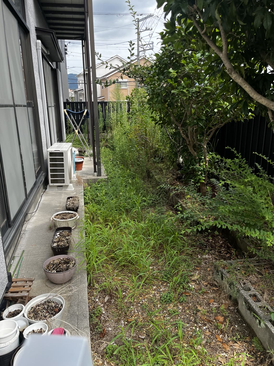 庭まわりの除草・清掃の作業前